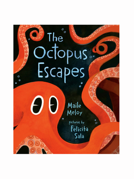 The Octopus Escapes by Maile Meloy
