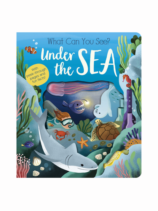 What Can You See? Under the Sea by Molly Littleboy