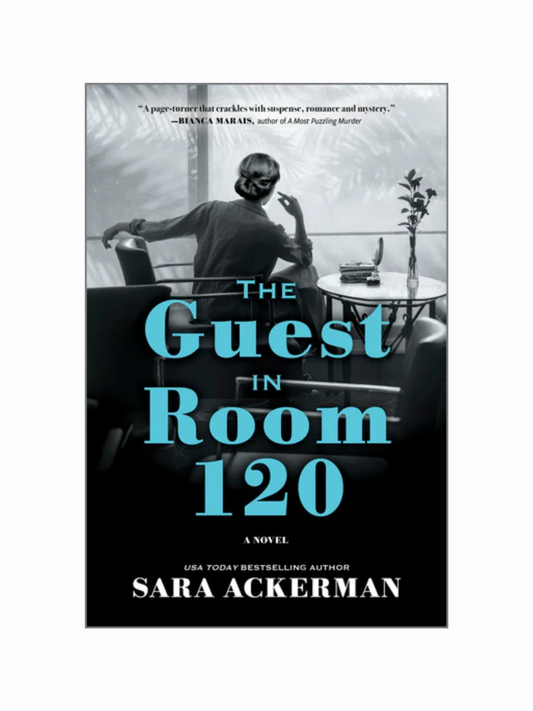 The Guest in Room 120 by Sara Ackerman