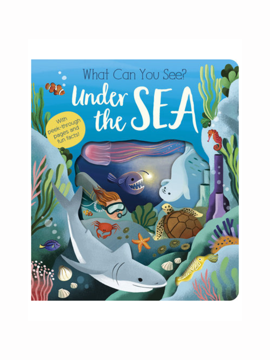 What Can You See? Under the Sea by Molly Littleboy