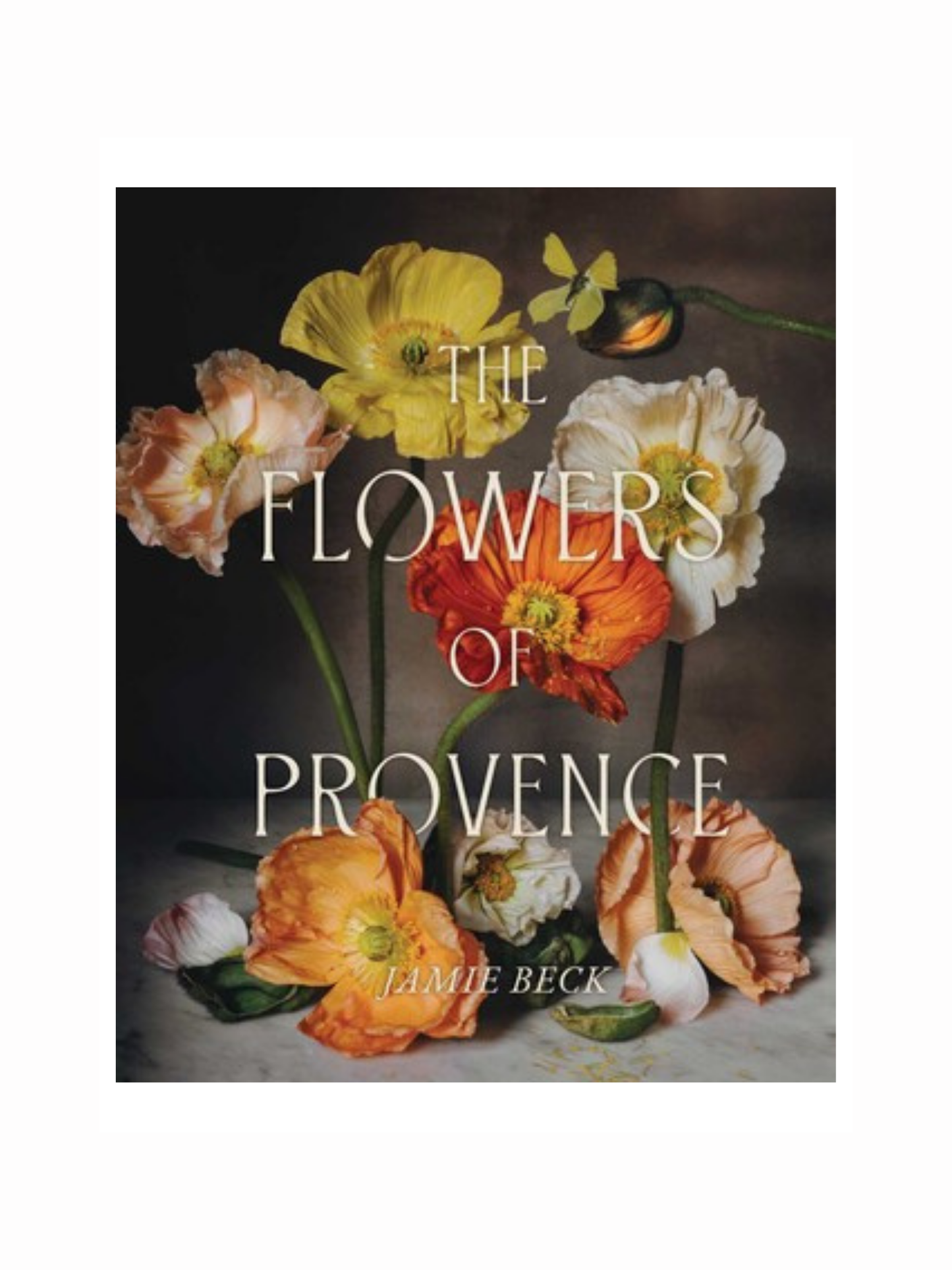 The Flowers of Provence by Jamie Beck