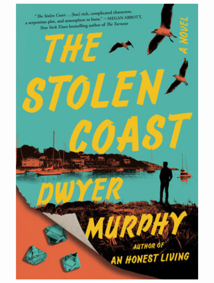 The Stolen Coast by Dwyer Murphy