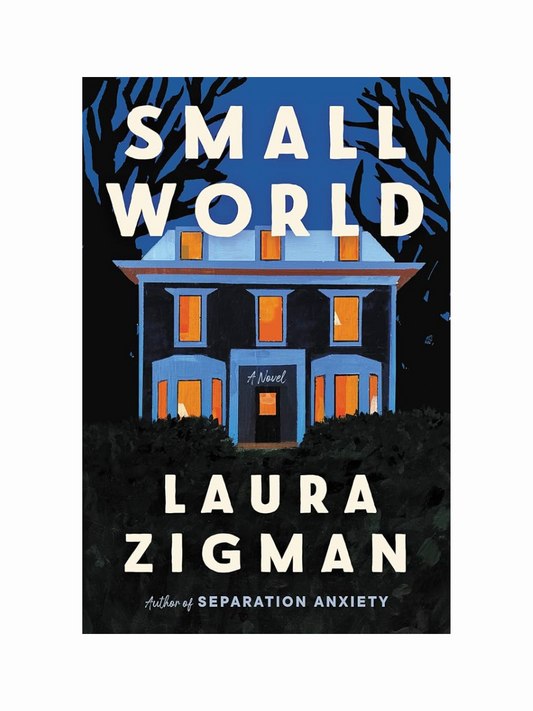 Small World by Laura Zigman