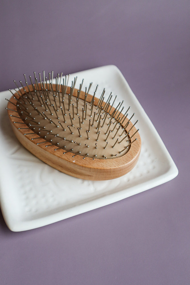Scalp Brush