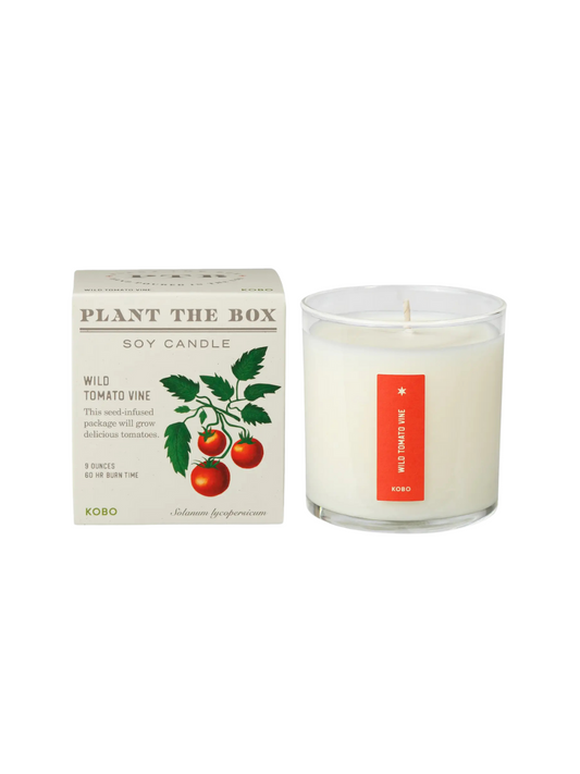 Wild Tomato Vine Candles