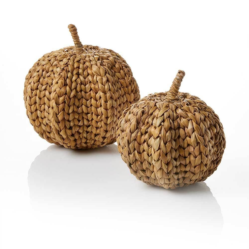 Large Hogla Pumpkins
