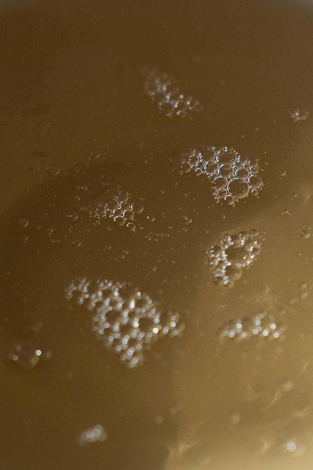 HAND SOAP EUCALYPTUS