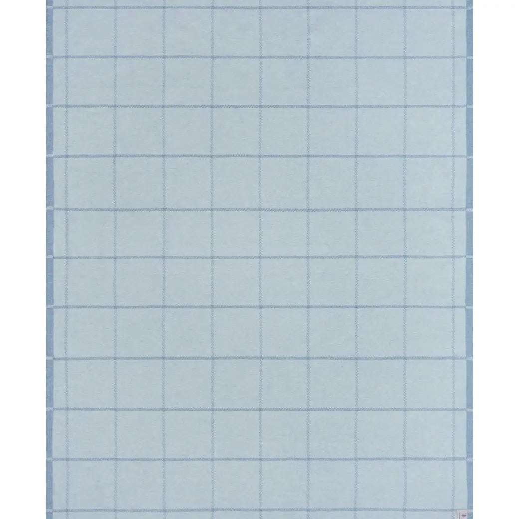 Windowpane Cornflower: Lightweight