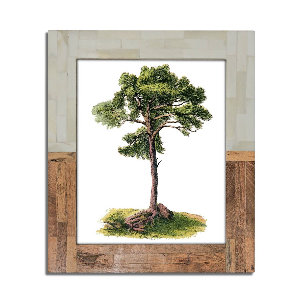 Large Split Wood & White Bone Frame
