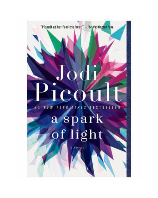 A Spark of Light by Jodi Picoult