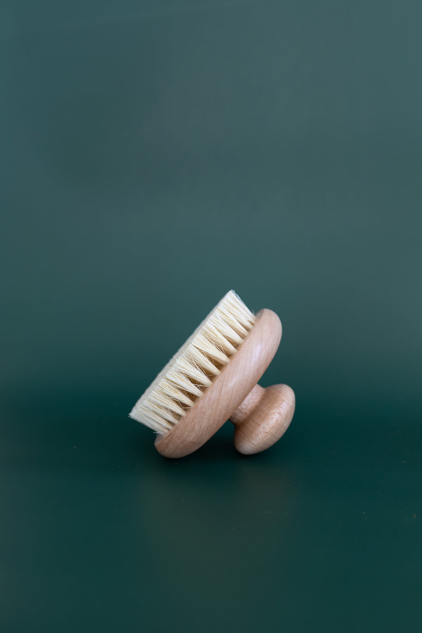Round Dry Brush