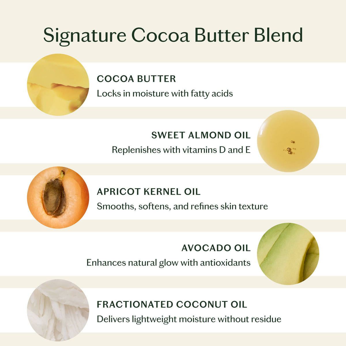 Palo Santo & Vetiver Deep Moisturizing Lotion Bar