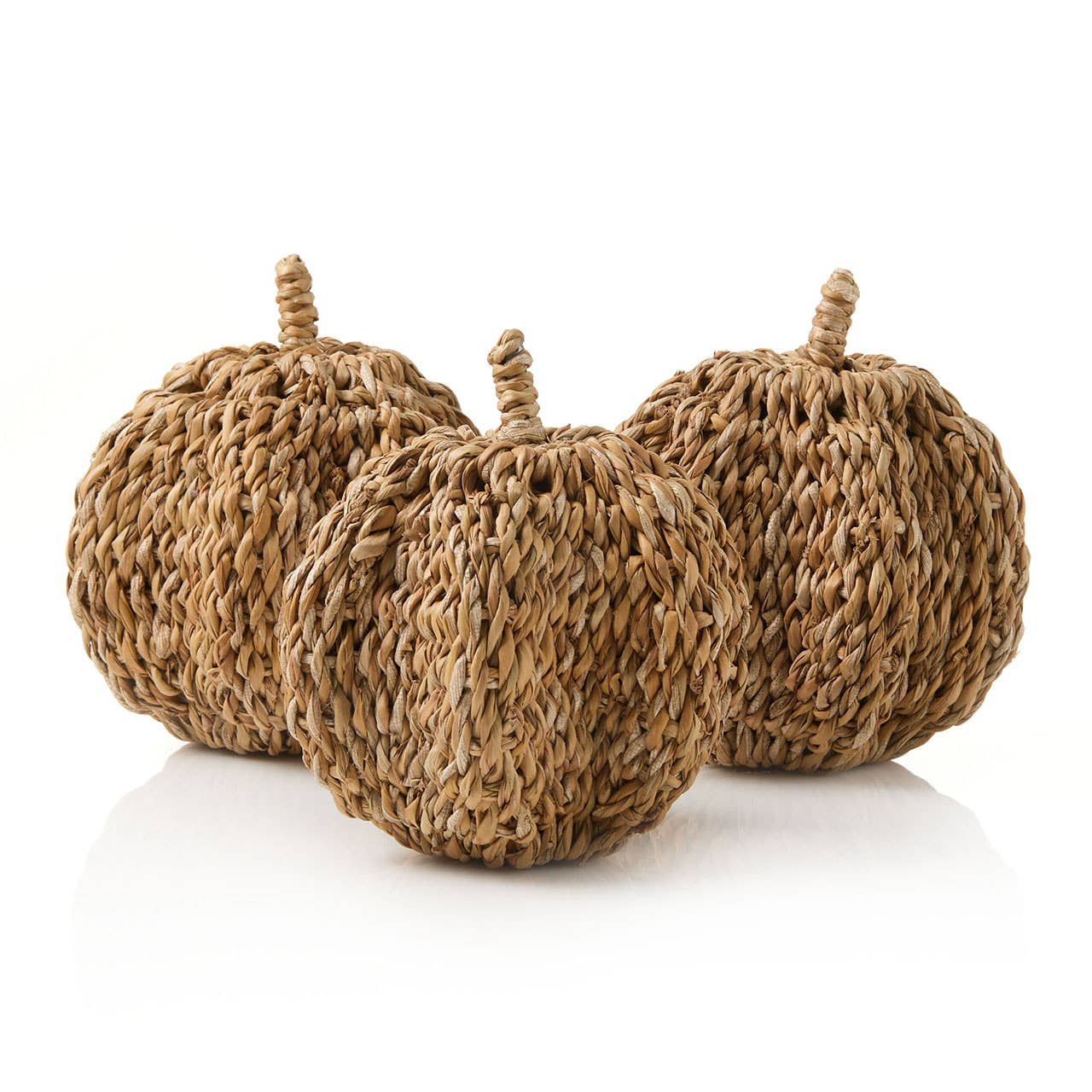 Small Hogla Pumpkin