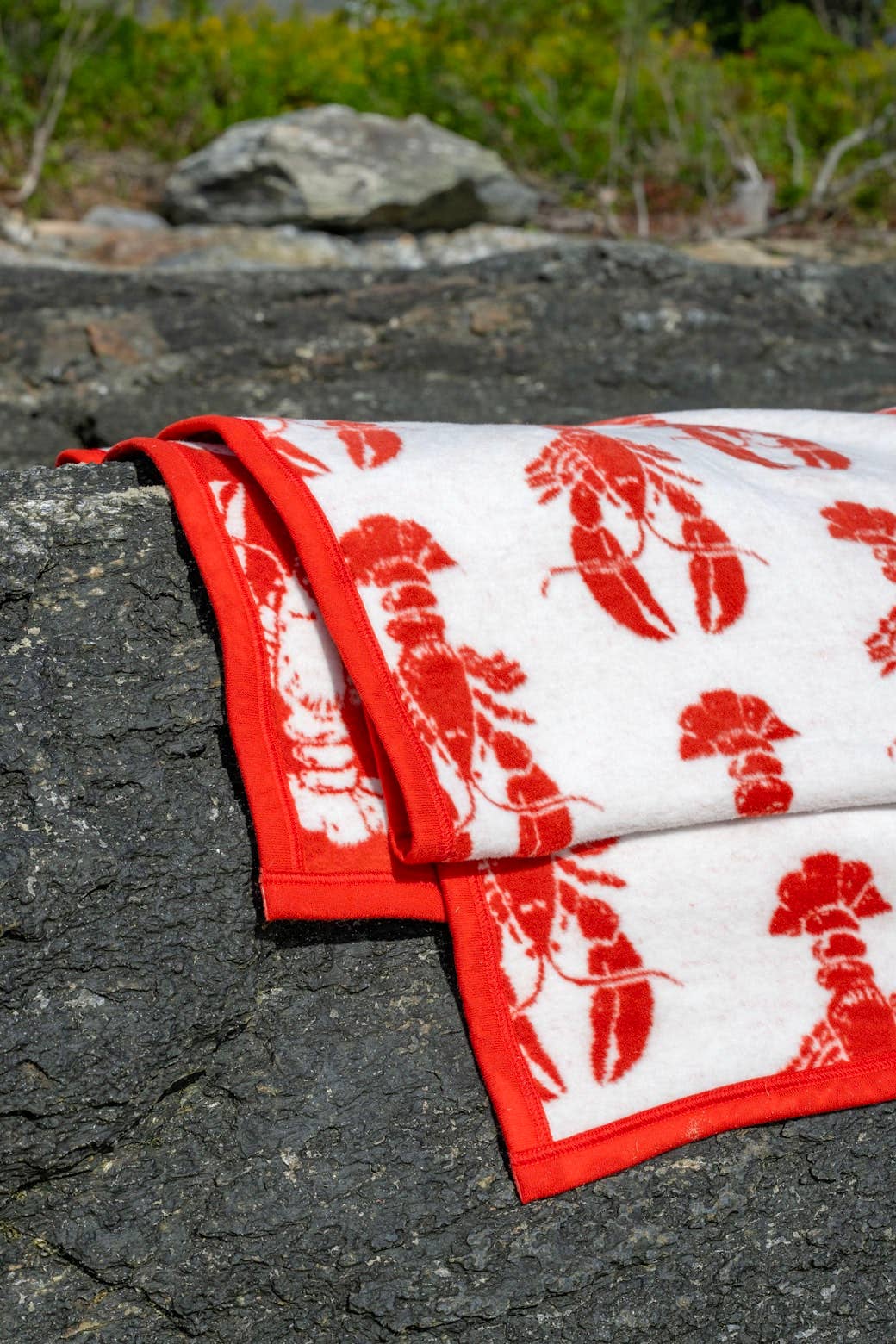 Lobster Shack Blanket