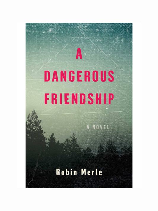 A Dangerous Friendship by Robin Merle