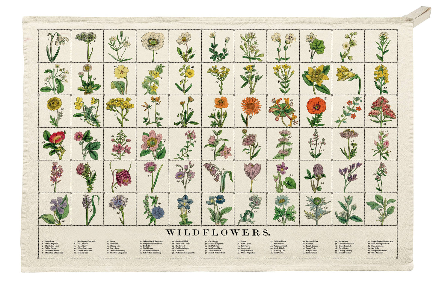 Wildflower Organic Cotton Tea Towel