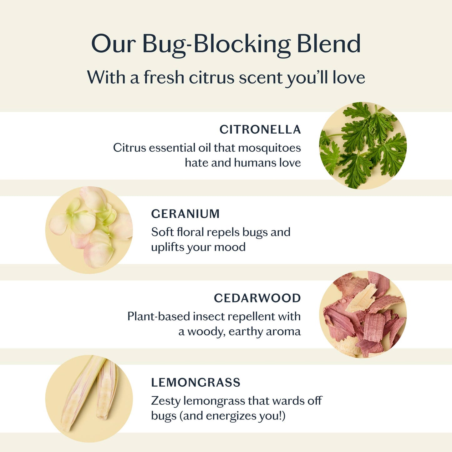 The Bug Balm | All-Natural Insect Repellent: Moisture Stick
