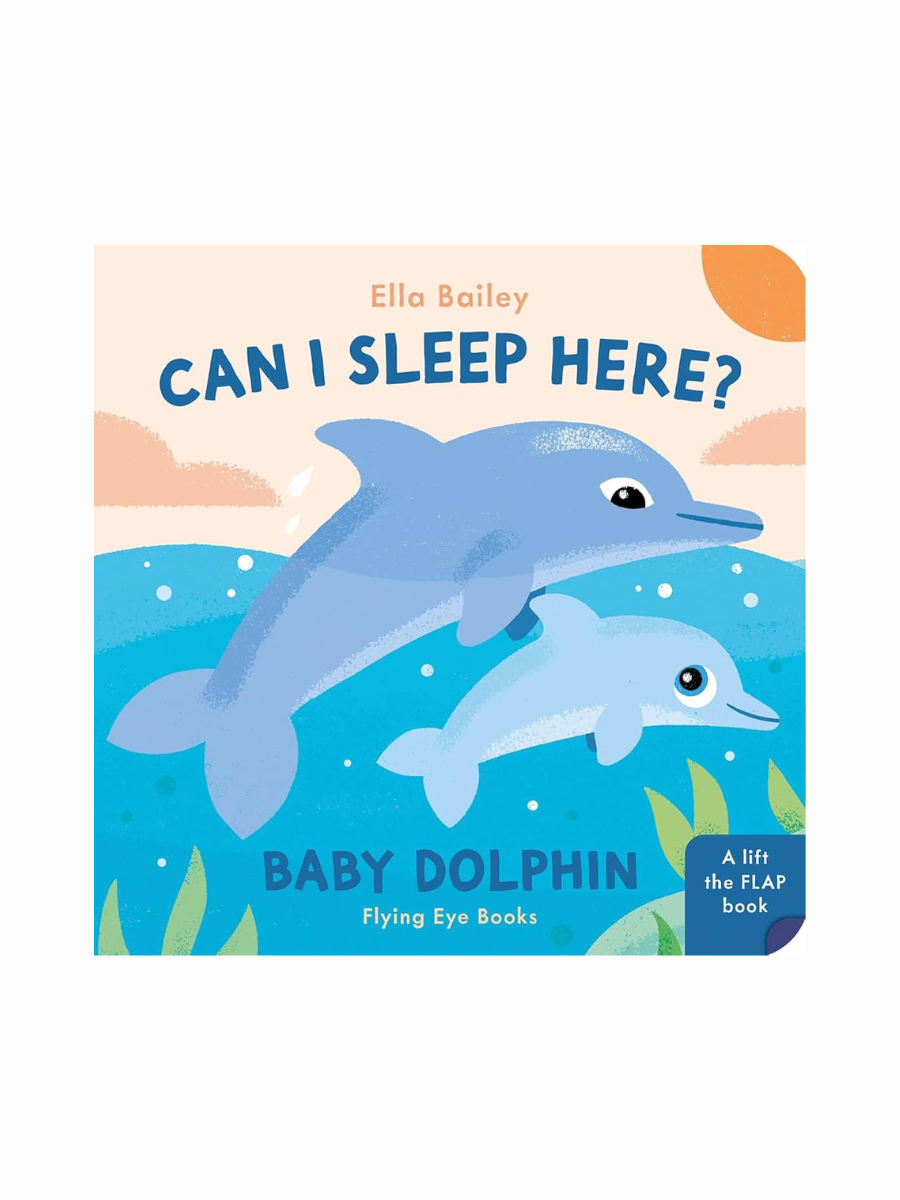 Can I Sleep Here? Baby Dolphin by Ella Bailey