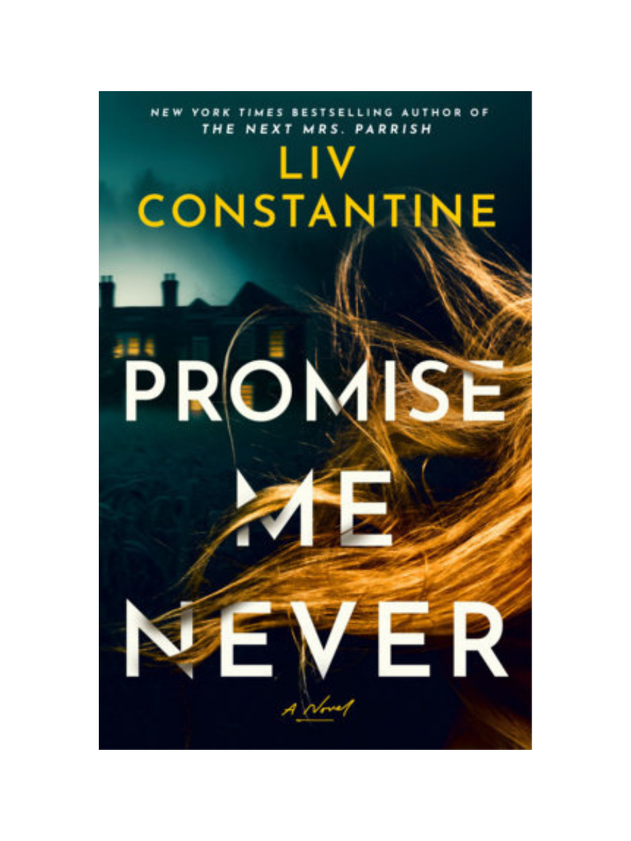 Promise Me Never by Liv Constantine