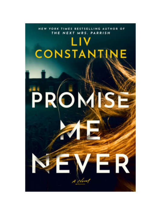 Promise Me Never by Liv Constantine