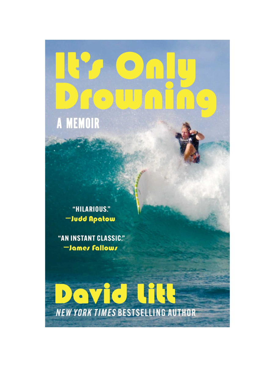 It's Only Drowning by David Litt