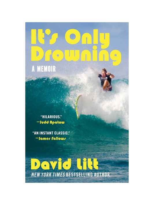It's Only Drowning by David Litt