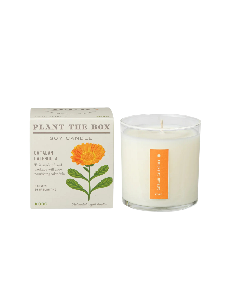 Catalan Calendula Candle