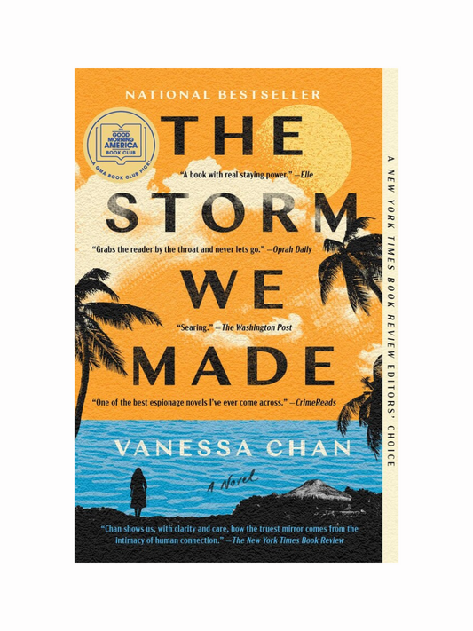 The Storm We Made by Vanessa Chan