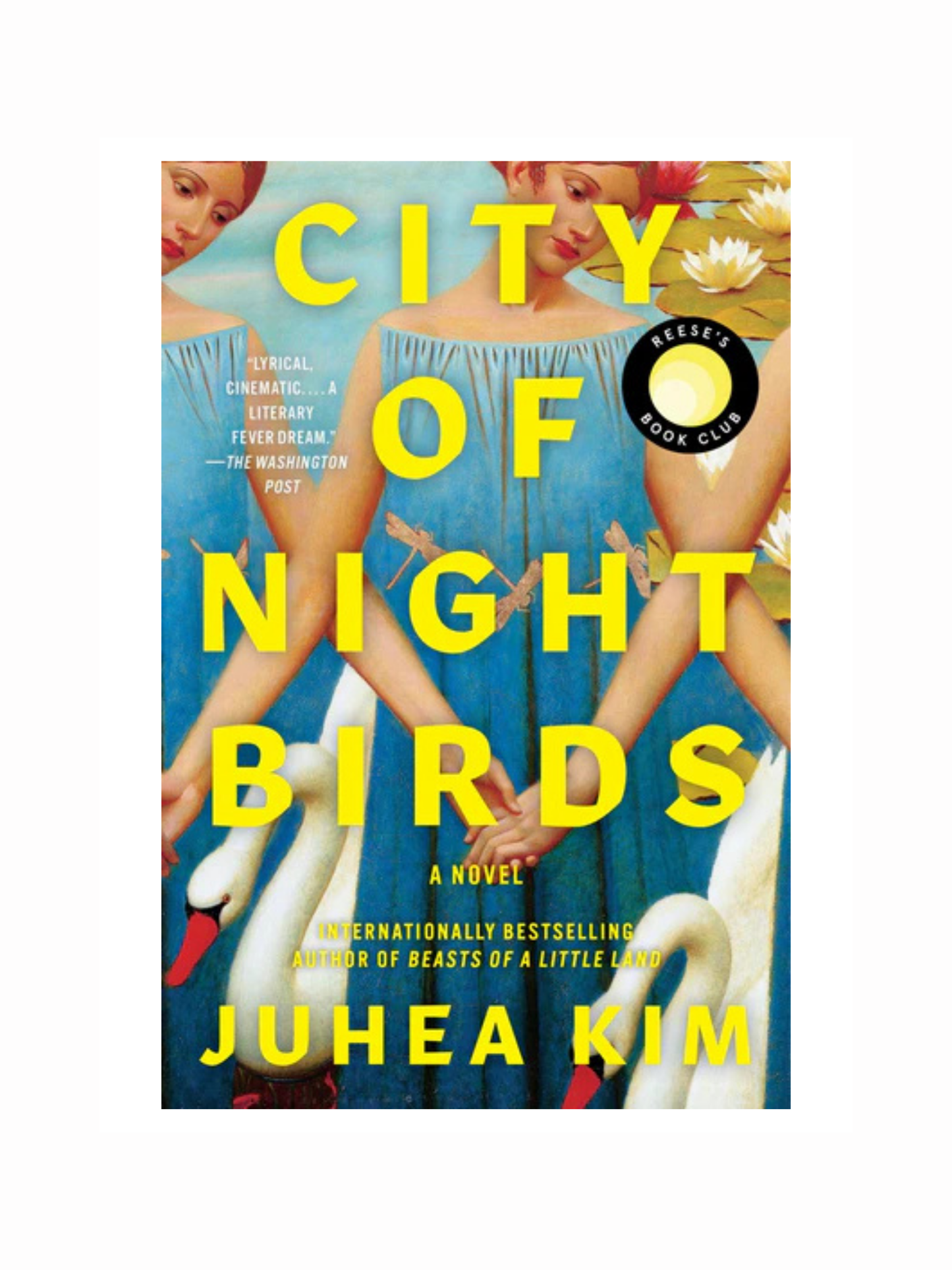 City of Night Birds by Juhea Kim