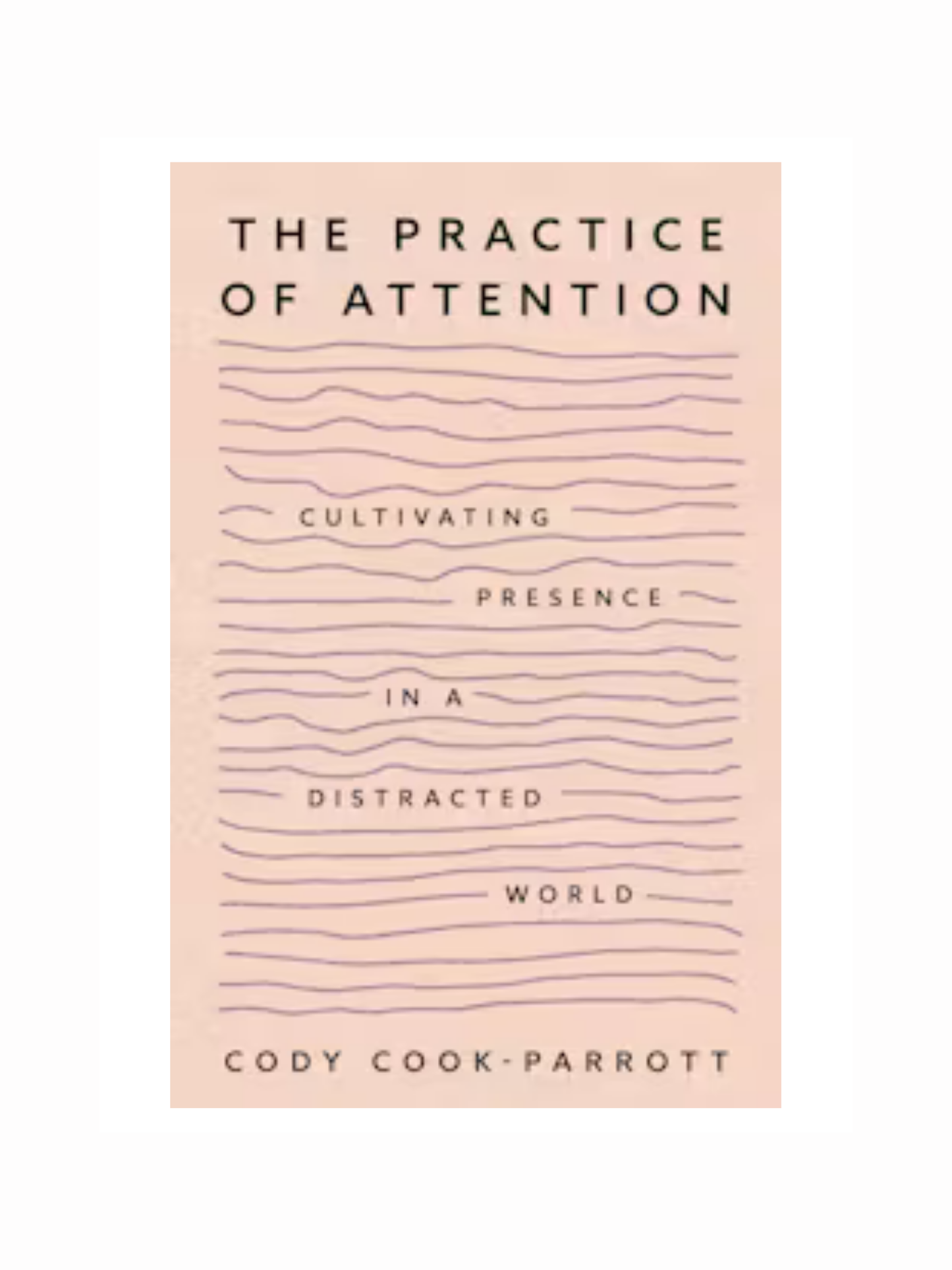 The Practice of Attention by Cody Cook-Parrott