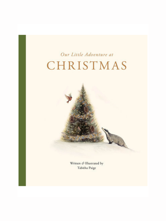 Our Little Adventure at Christmas by Tabitha Paige