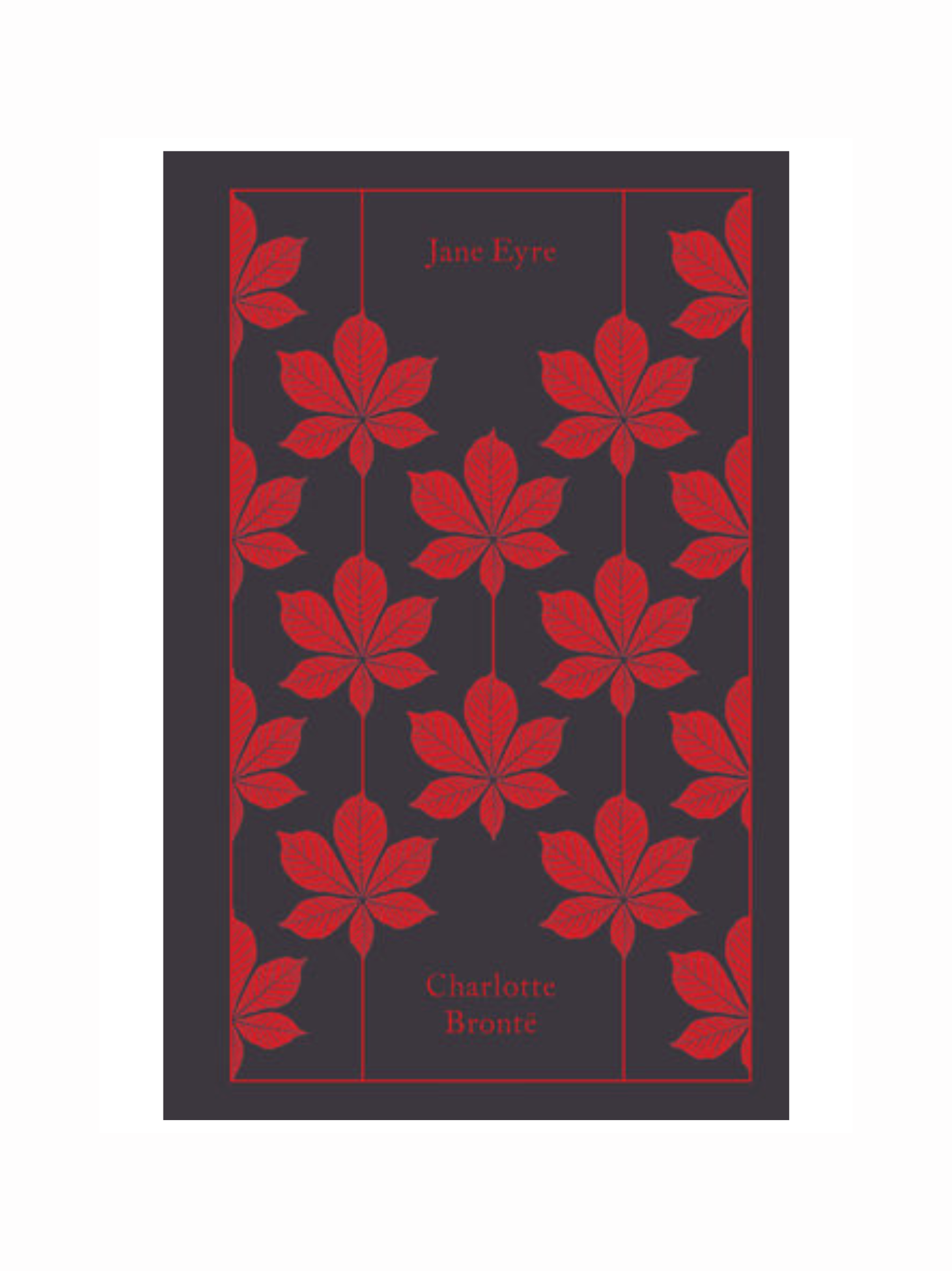 Jane Eyre by Charlotte Bronte