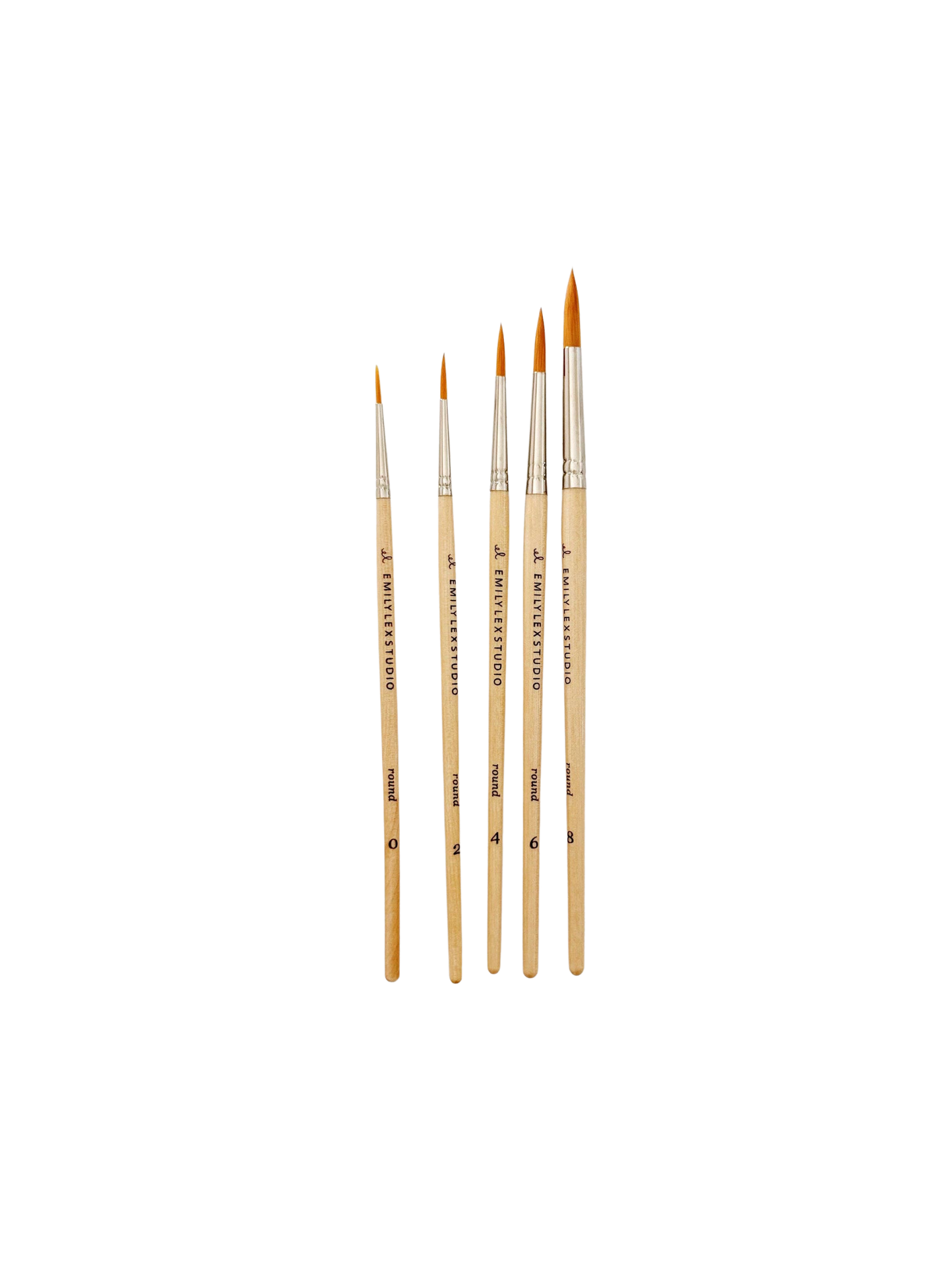 Watercolor paintbrush set of five wood brushes