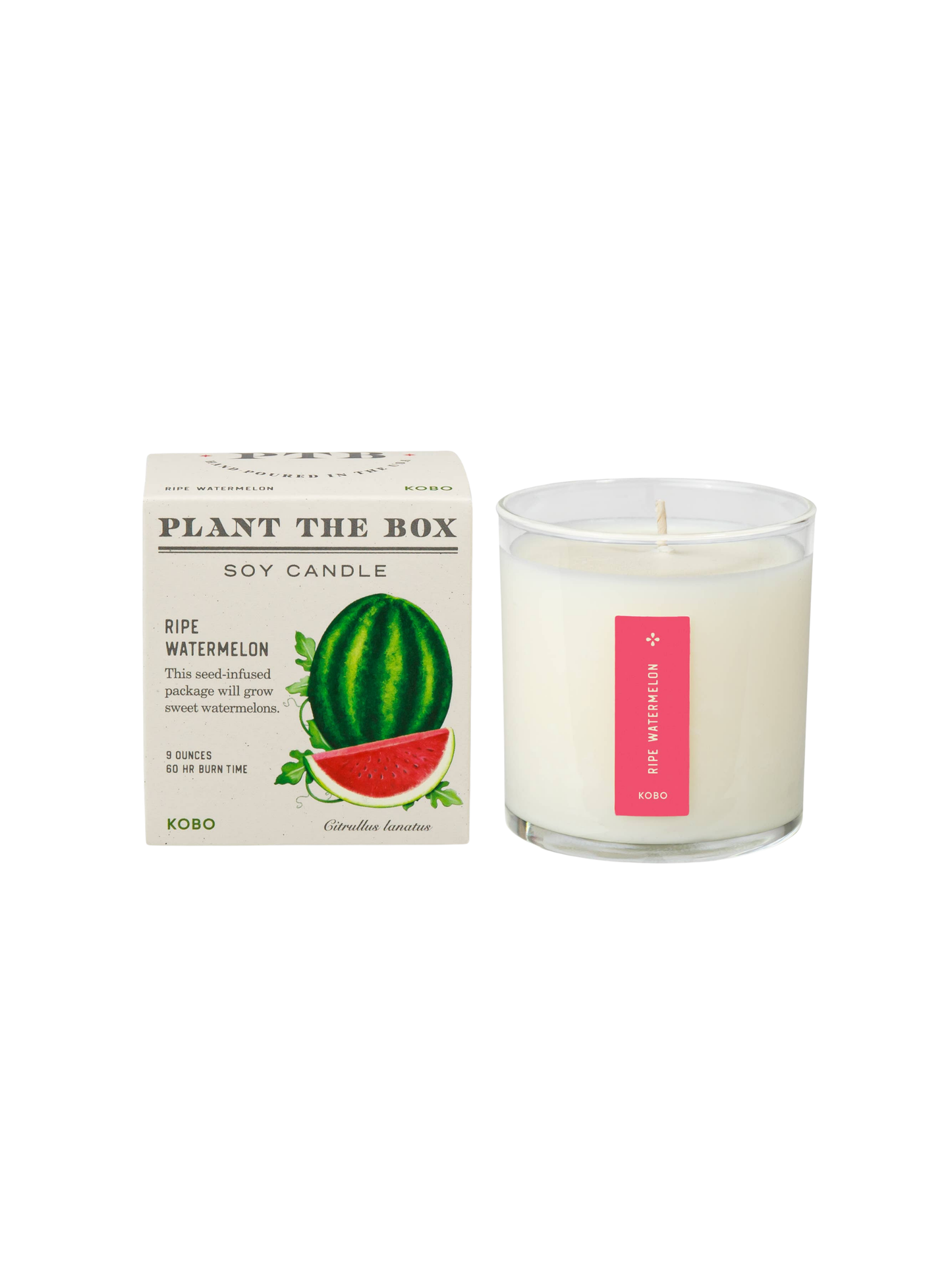 Ripe Watermelon Candle
