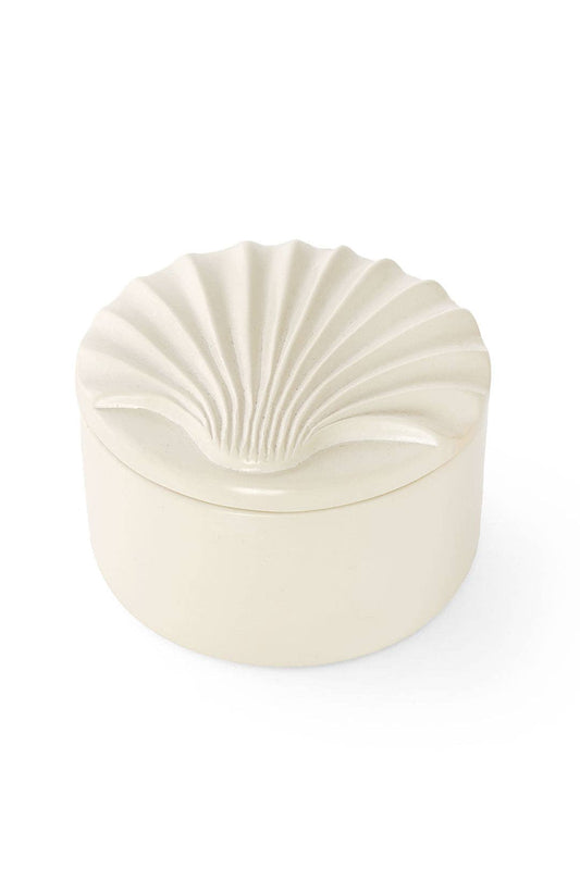 All Natural Soapstone Scallop Shell Storage Box