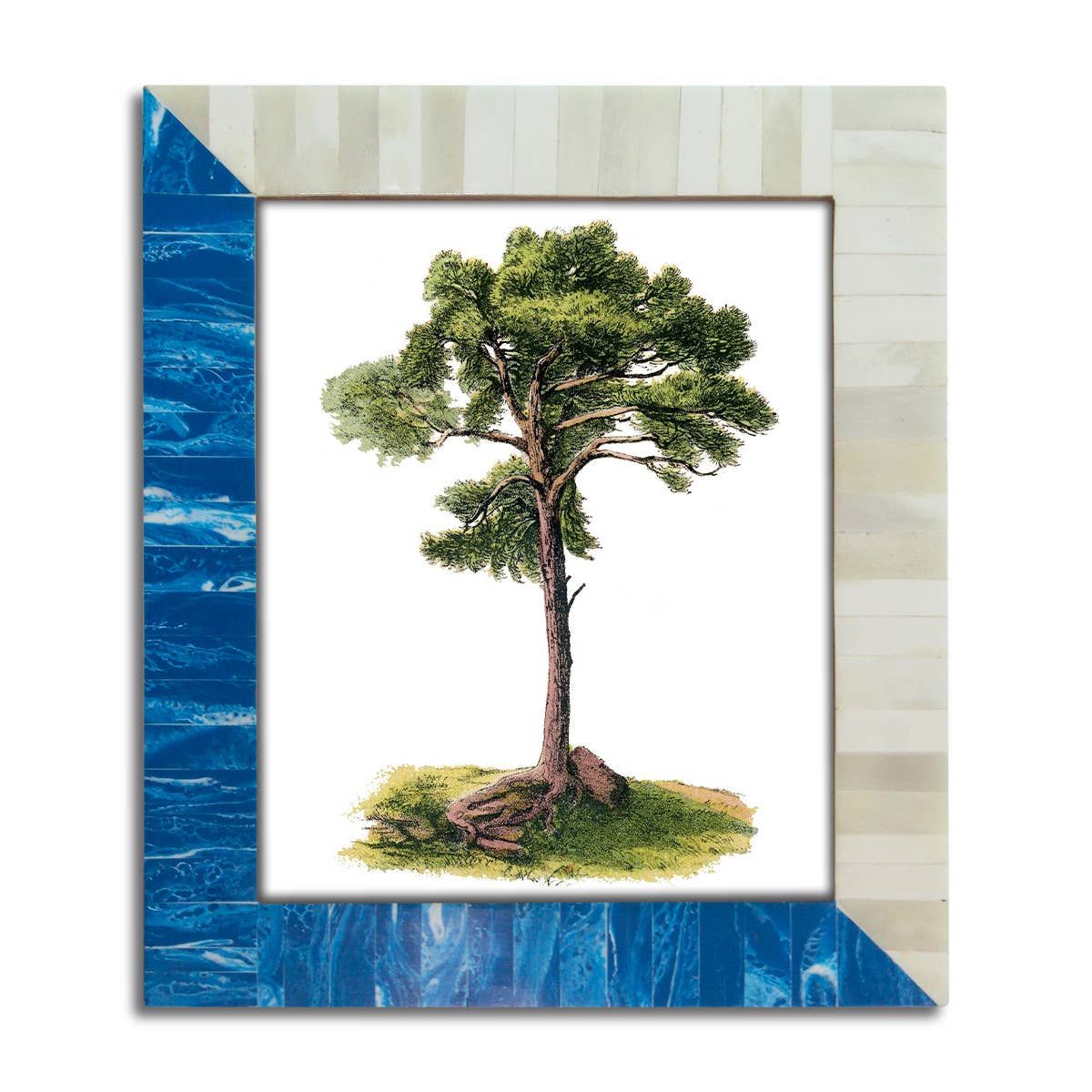 Blue & White Frame