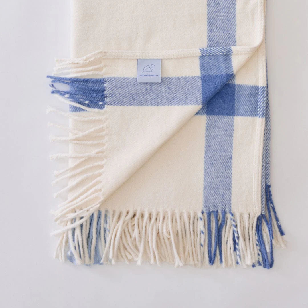 Blue Plaid Throw Blanket