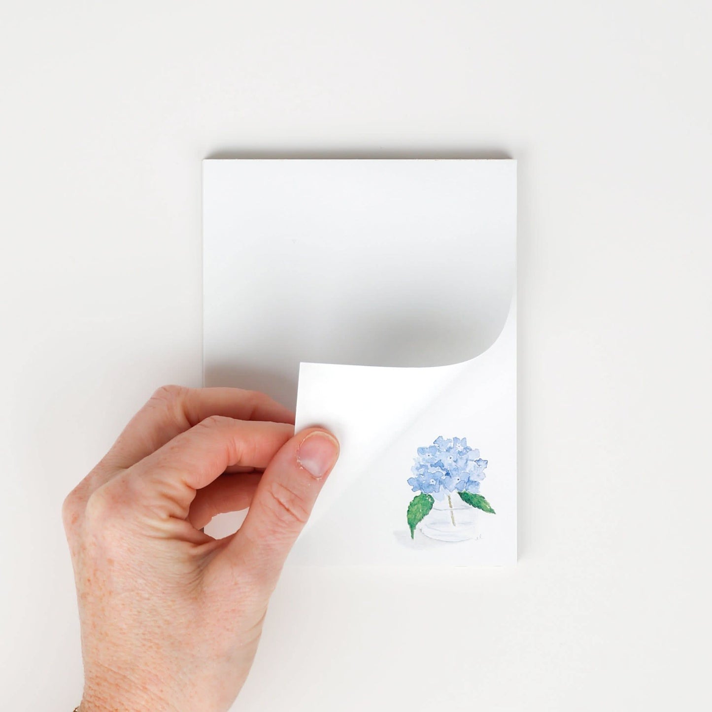 Hydrangea Everyday Notepad