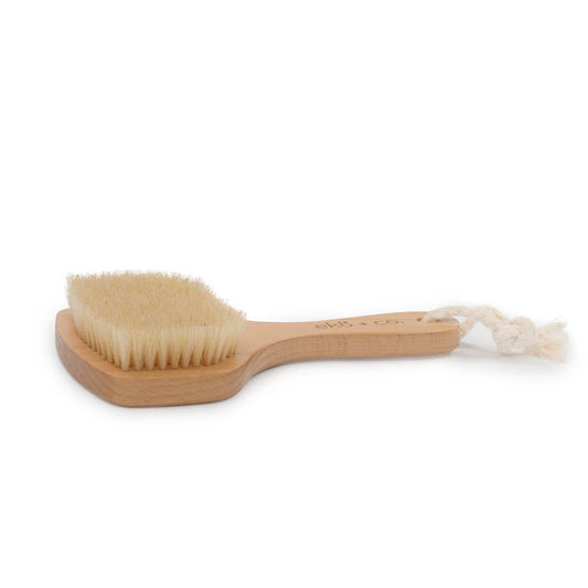 Fan-Shaped Dry Brush