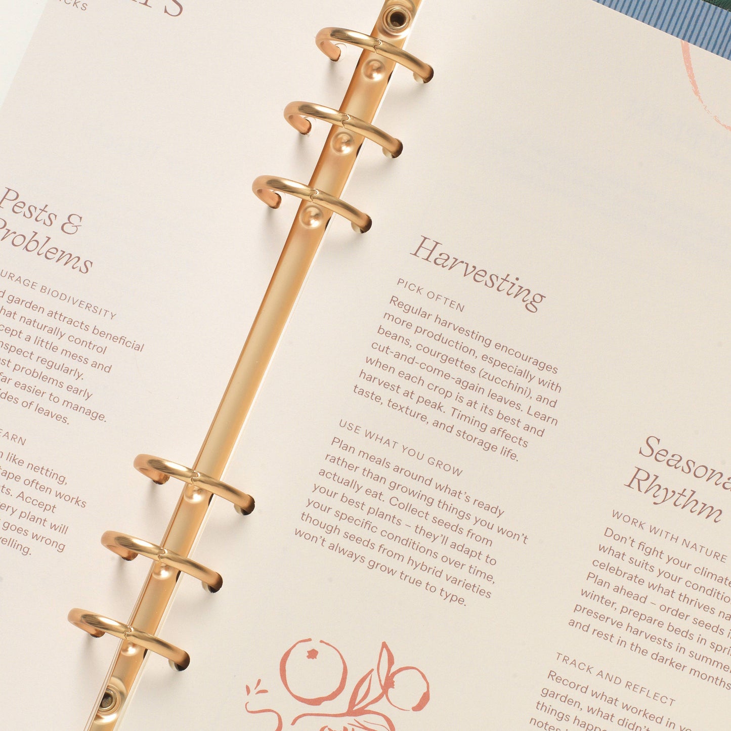 Garden Trellis Binder-Folio