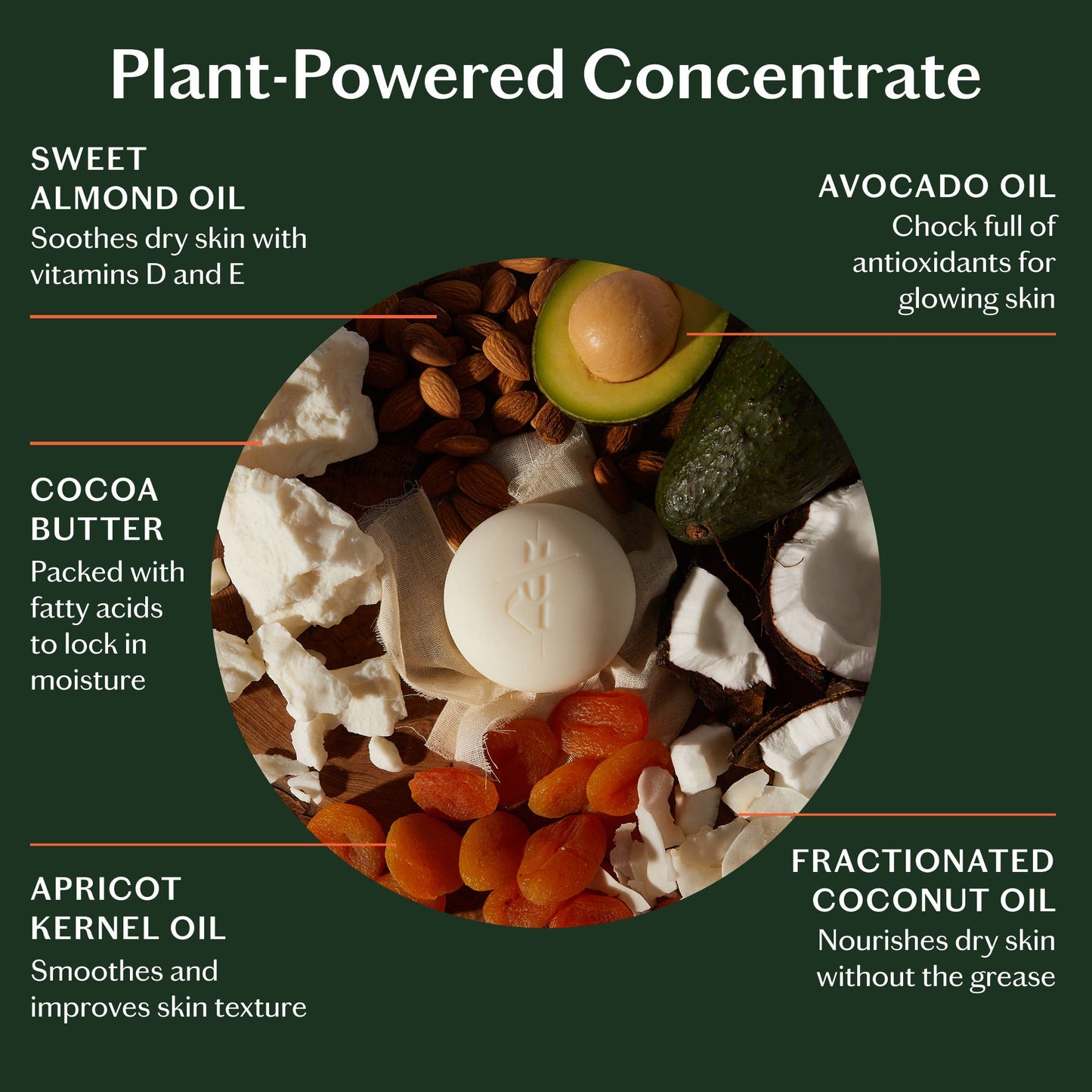Grounding Stone Deep Moisturizing Lotion Bar