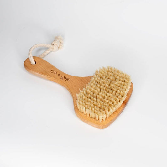 Fan-Shaped Dry Brush