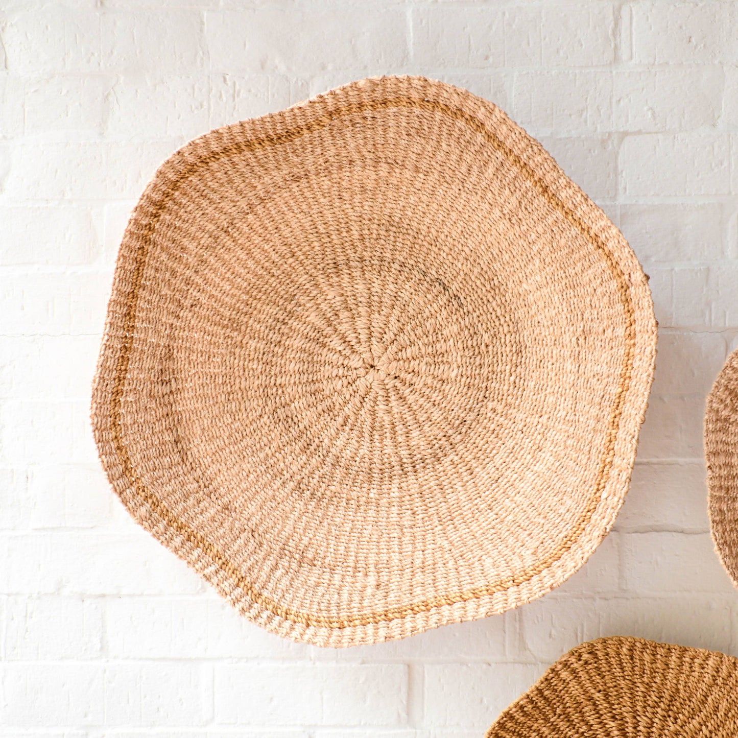 Large Scallop Wall Basket